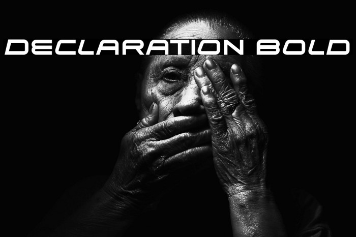 Declaration Bold Example 1