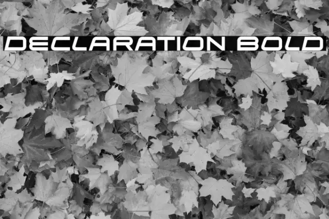 Declaration Bold Example 2