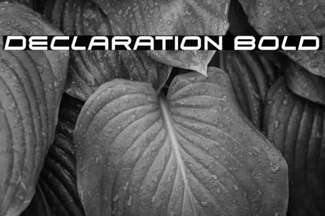 Declaration Bold Example 3
