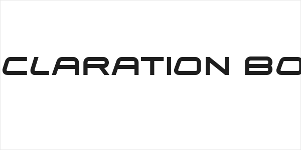 Declaration Bold Logo