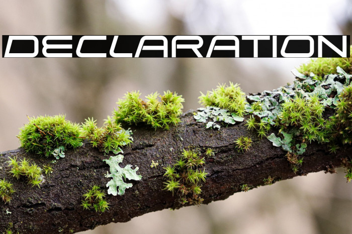 Declaration Example 2