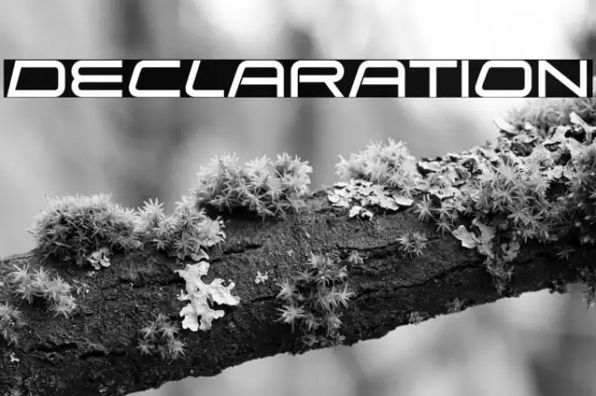 Declaration Font examples