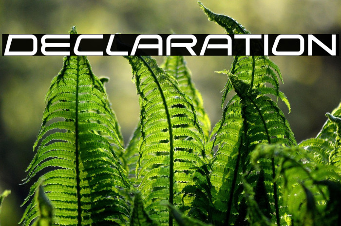 Declaration Example 3