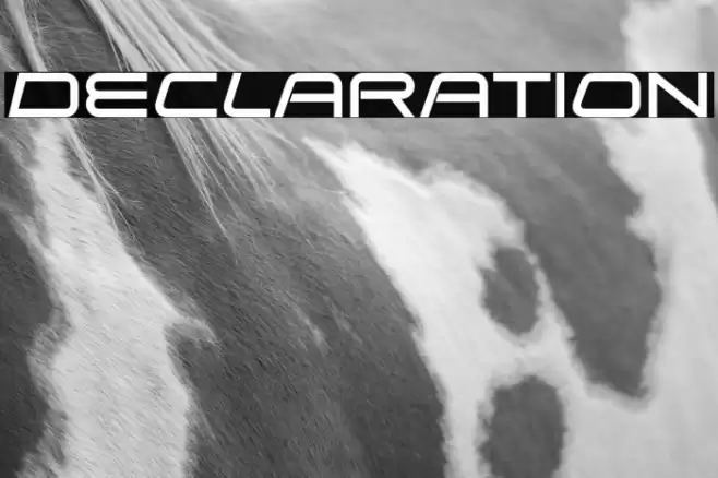 Declaration Font examples