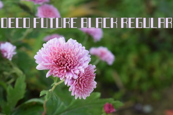 Deco Future Black Regular Font examples