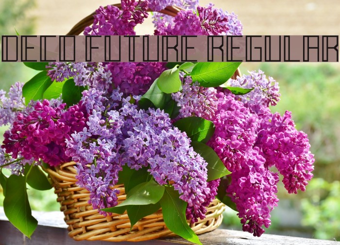 Deco Future Regular Example 1