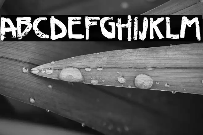 Deco Slaughter Example 1