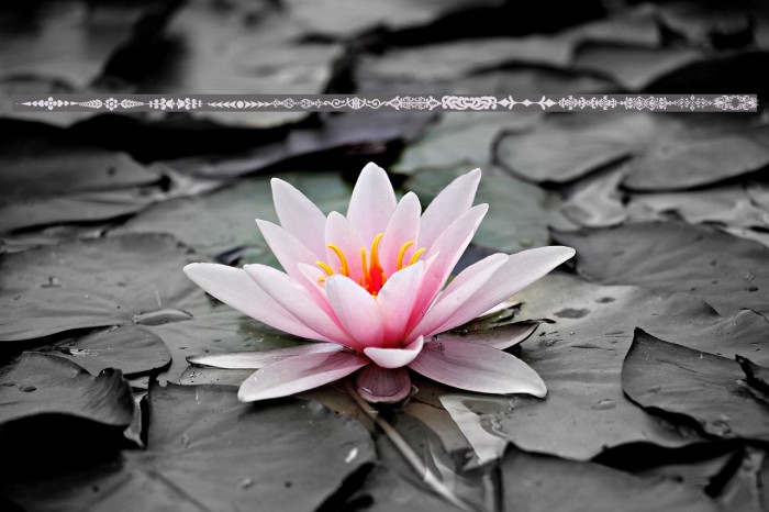 DecoDividers Example 1