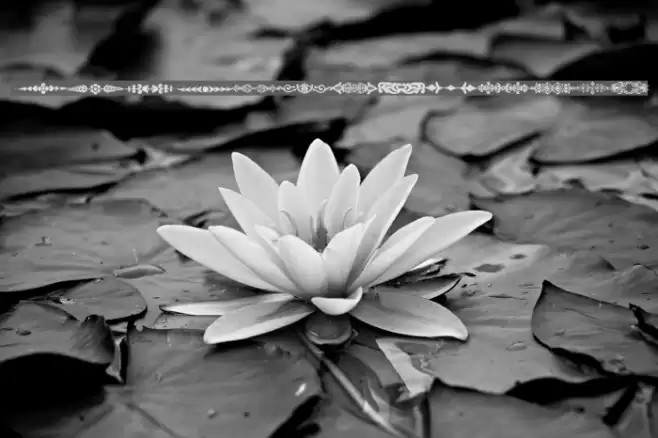 DecoDividers Font examples