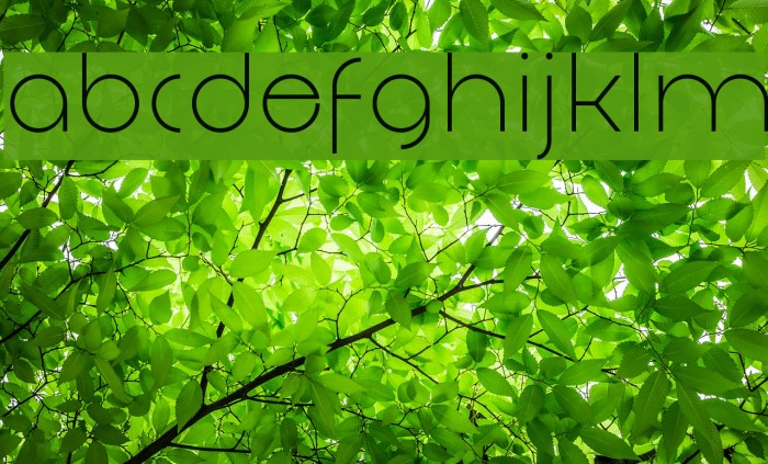 DecomartFF4F Font examples