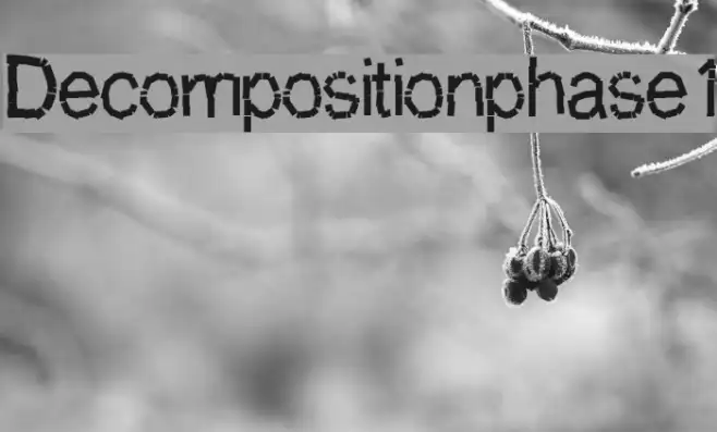 Decompositionphase1 Example 2