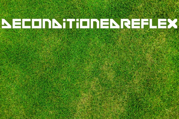 DeconditionedReflex Font examples