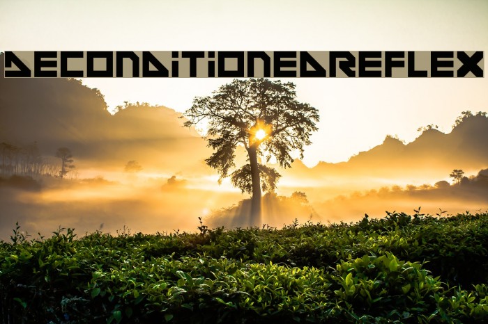 DeconditionedReflex Font examples