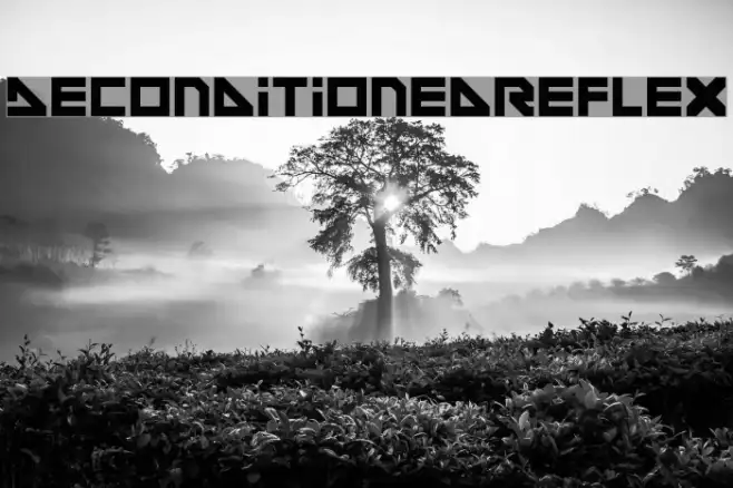 DeconditionedReflex Example 3