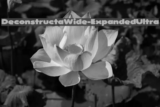 DeconstructaWide-ExpandedUltra Example 1