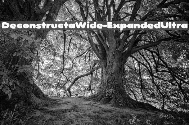 DeconstructaWide-ExpandedUltra Example 2