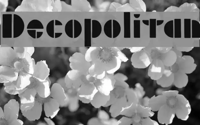 Decopolitan Example 2
