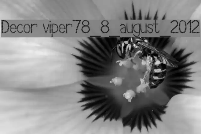 Decor viper78_8_august_2012 フォント examples