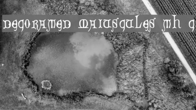 Decorated Majuscules, 14th c. Schriftart examples