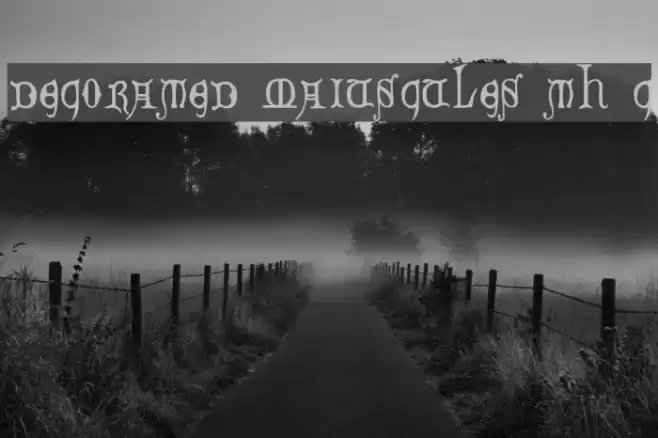 Decorated Majuscules, 14th c. Schriftart examples