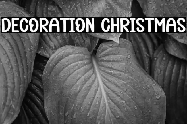 Decoration Christmas Шрифта examples