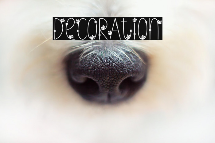 Decoration Example 1