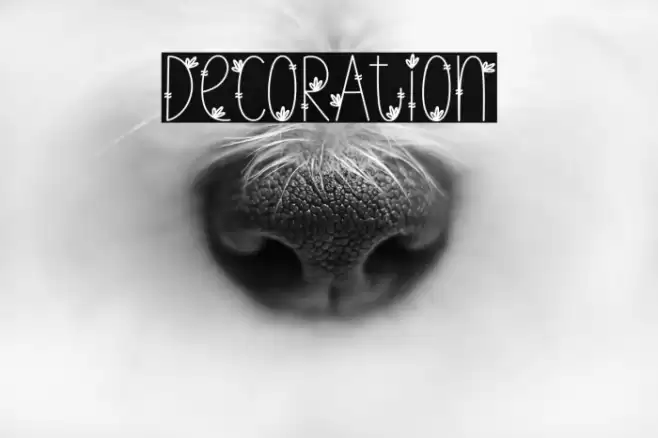 Decoration Caratteri examples