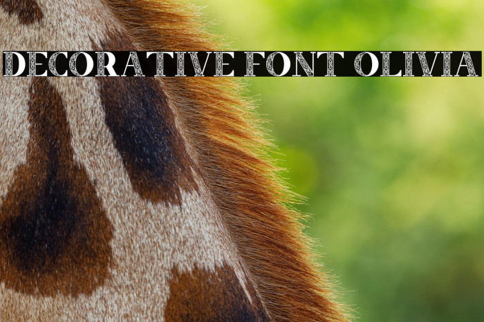 Decorative Font Olivia Example 1