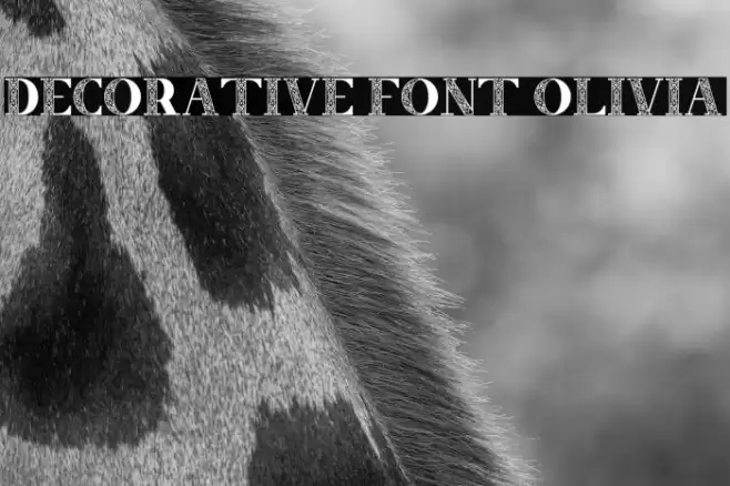 Decorative Font Olivia Caratteri examples