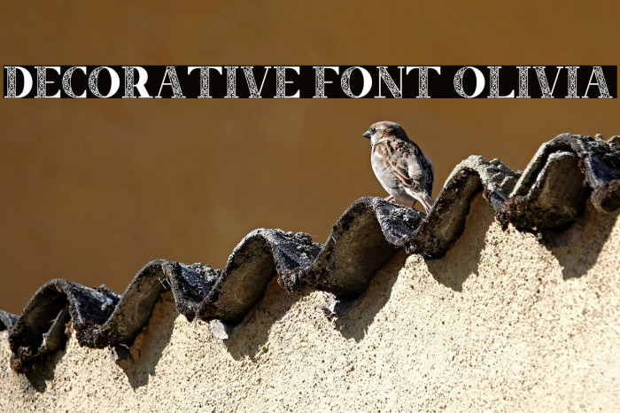 Decorative Font Olivia Example 2