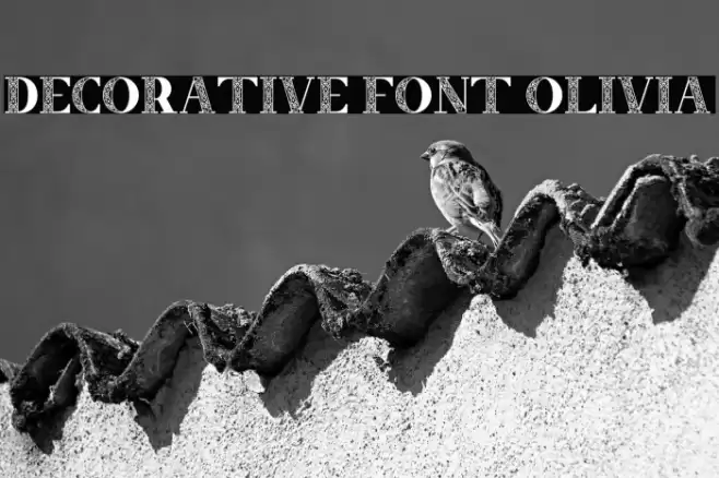 Decorative Font Olivia Caratteri examples