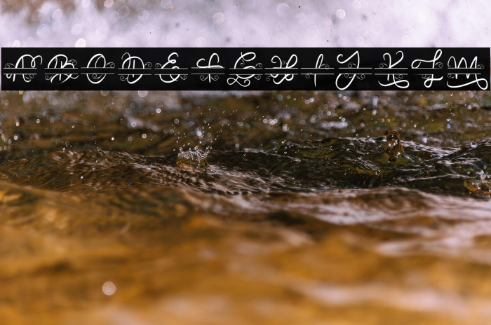 Decorative Monogram Example 3