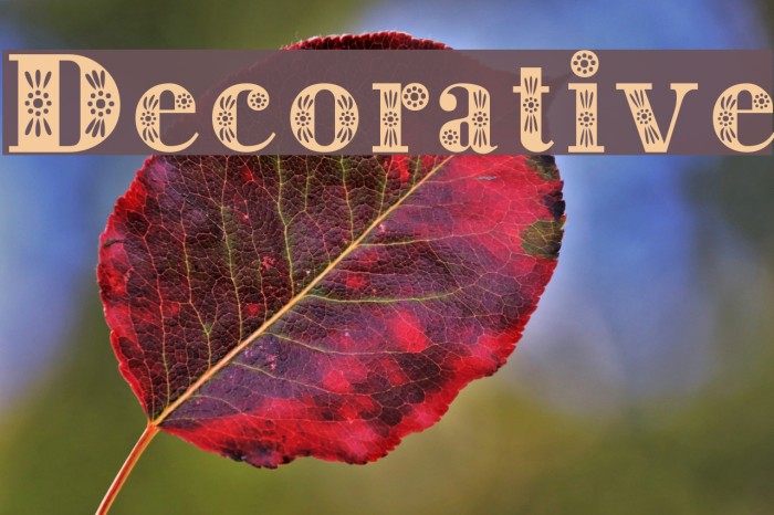 Decorative Font examples
