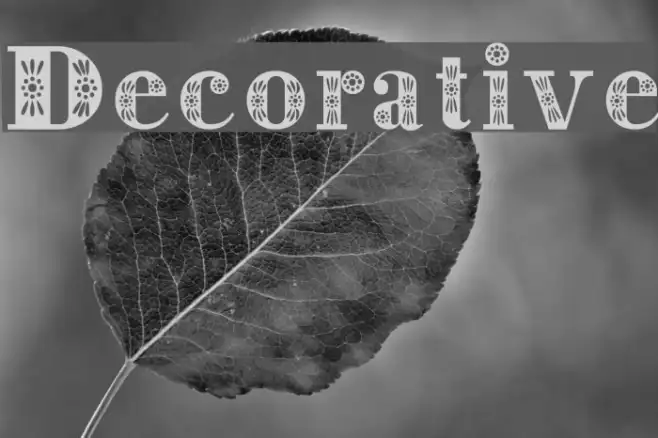 Decorative Example 1