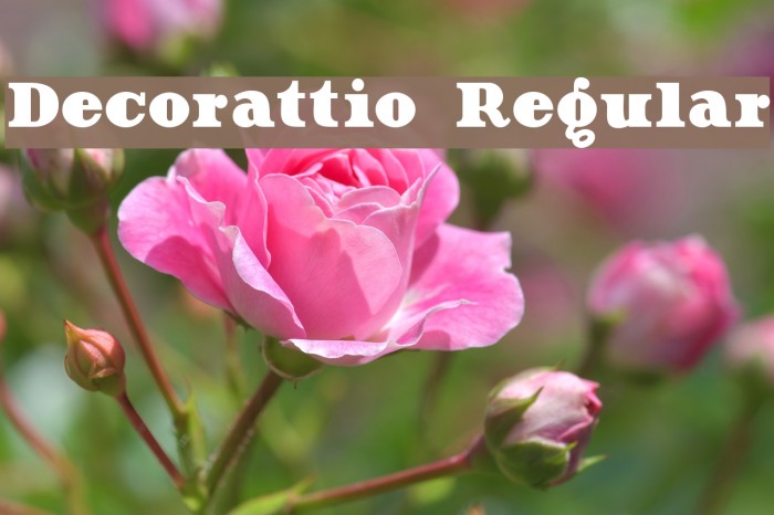 Decorattio Regular Font examples