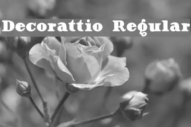 Decorattio Regular Example 1