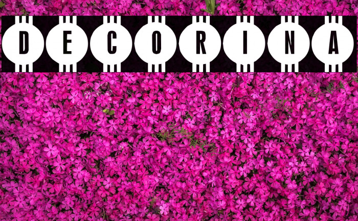 Decorina Font examples