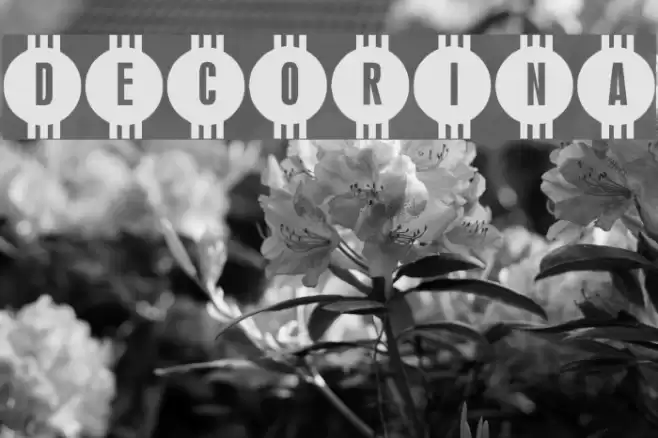 Decorina Polices examples