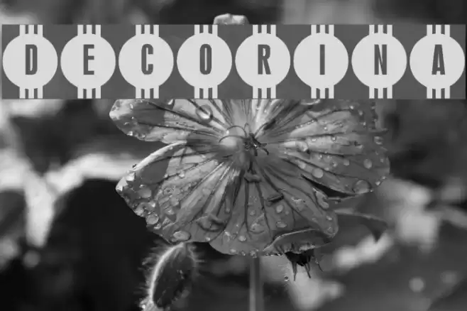 Decorina Polices examples