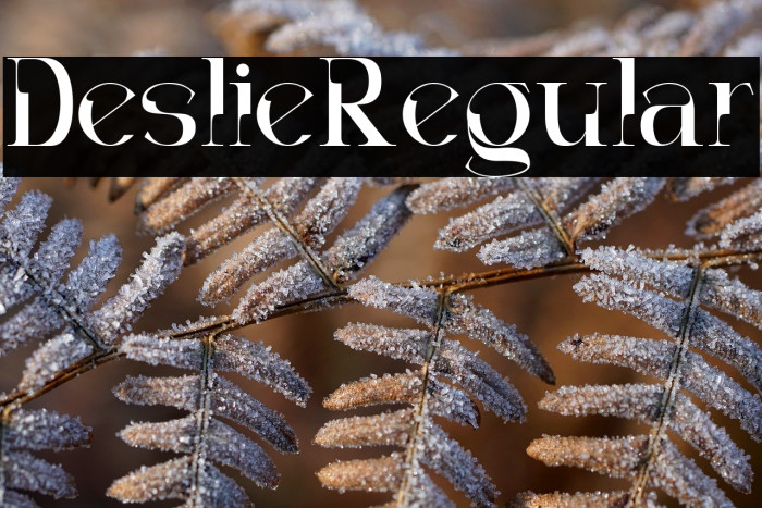 Decoslice Regular Example 3