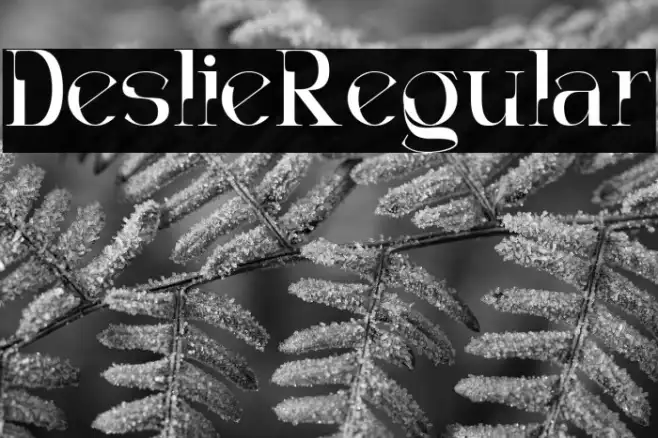 Decoslice Regular Example 3