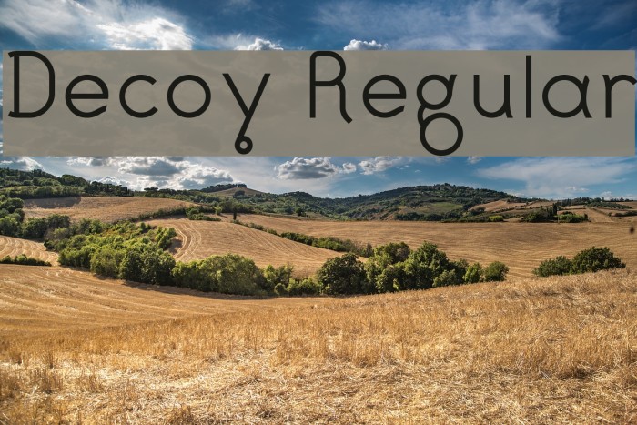 Decoy Regular Font examples