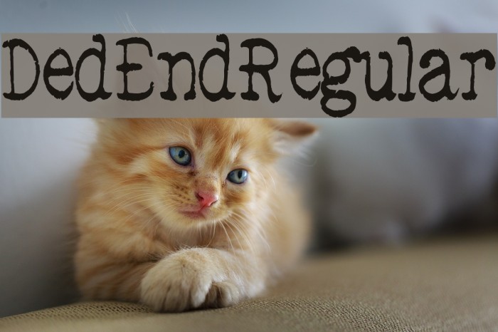 DedEnd-Regular Font examples