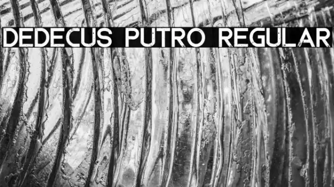 Dedecus Putro Regular Schriftart examples