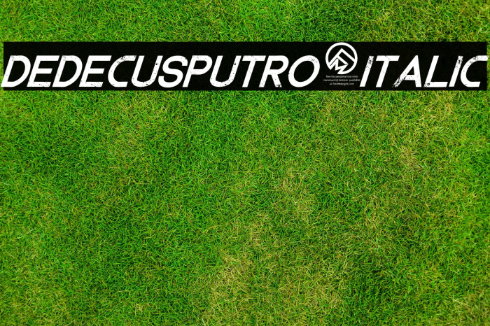 DedecusPutro-Italic Font examples