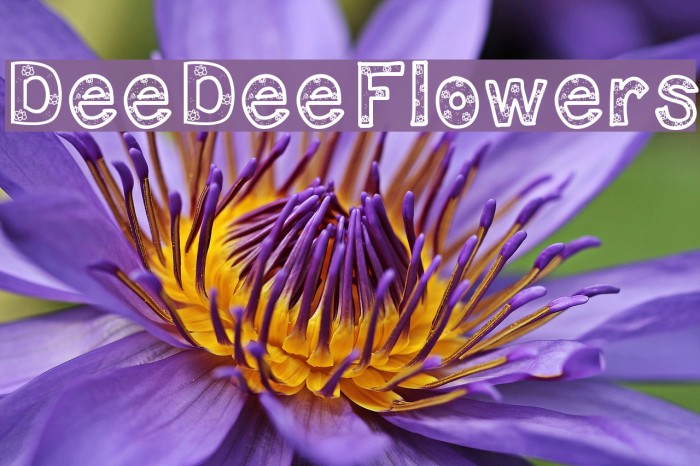 DeeDeeFlowers Font examples