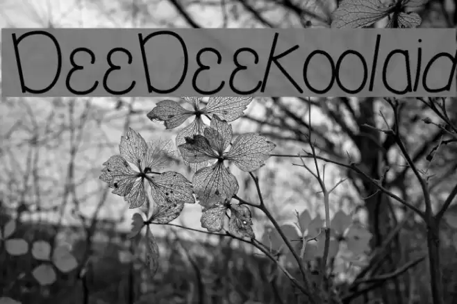 DeeDeeKoolaid Font examples