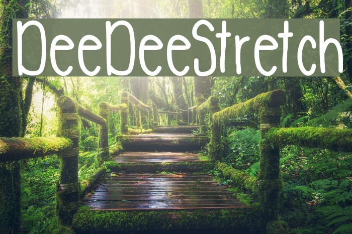 DeeDeeStretch Font examples