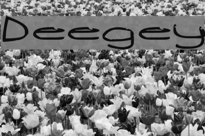 Deegey Font examples