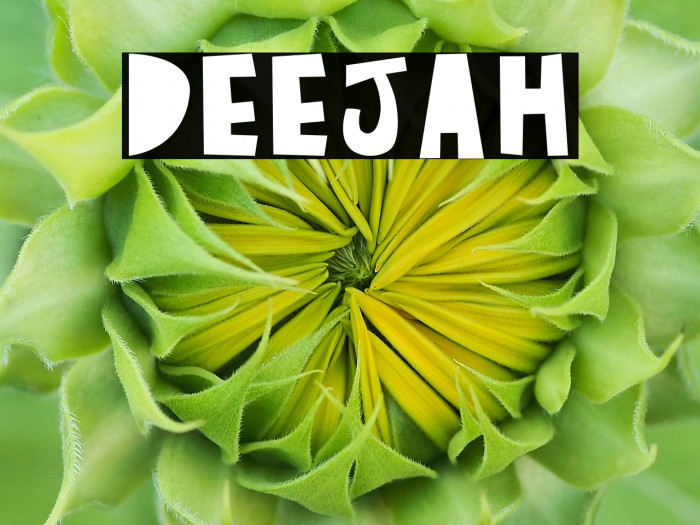 Deejah Example 3